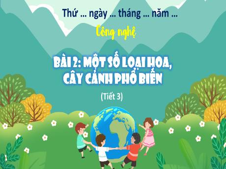 Bài giảng Công nghệ 4 (Kết nối tri thức) - Bài 2: Một số loại hoa, cây cảnh phổ biến (Tiết 3) - Năm học 2024-2025 - Phạm Thị Hương Giang
