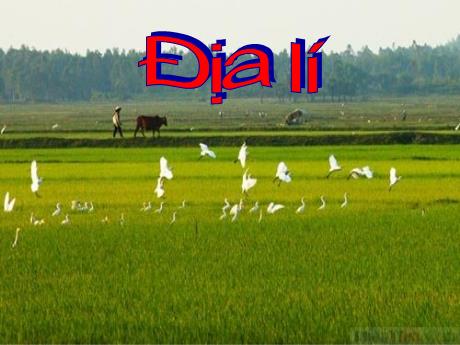 Bài giảng Địa lí 4 - Bài 11: Đồng bằng Bắc Bộ - Năm học 2022-2023 - Phạm Thị Hương Giang