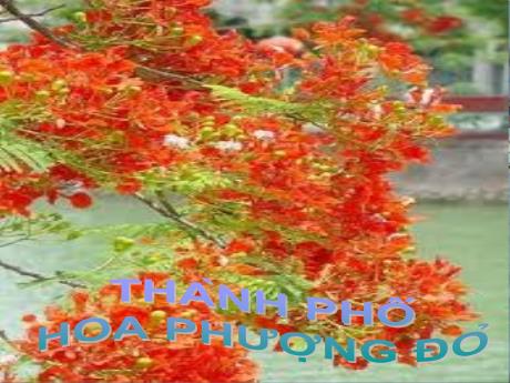 Bài giảng Địa lí 4 - Bài 16: Thành phố Hải Phòng - Năm học 2022-2023 - Phạm Thị Hương Giang