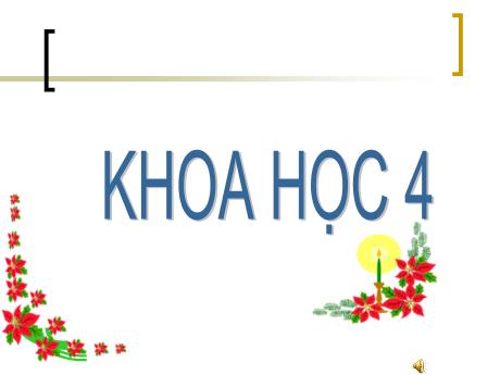 Bài giảng Khoa học 4 - Bài 16: Ăn uống khi bị bệnh - Năm học 2022-2023 - Phạm Thị Hương Giang