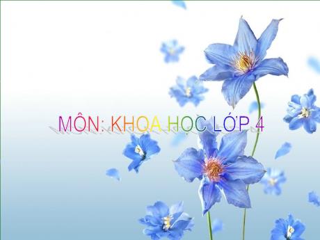 Bài giảng Khoa học 4 - Bài 16: Phòng tránh tai nạn đuối nước - Năm học 2022-2023 - Phạm Thị Hương Giang