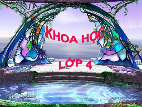 Bài giảng Khoa học 4 - Tiết 15: Bạn cảm thấy thế nào khi bị bệnh? - Năm học 2022-2023 - Phạm Thị Hương Giang