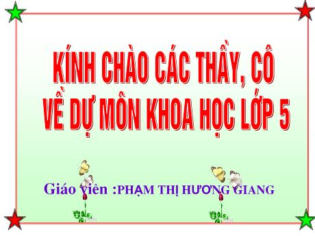 Bài giảng Khoa học 5 - Bài 19: Phong tránh tai nạn giao thông đường bộ - Năm học 2021-2022 - Phạm Thị Hương Giang