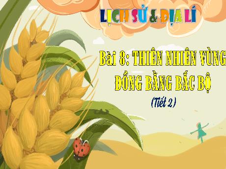 Bài giảng Lịch sử và Địa lí 4 (Kết nối tri thức) - Bài 8: Thiên nhiên vùng Đồng bằng Bắc Bộ (Tiết 2) - Năm học 2024-2025 - Phan Đình Khôi