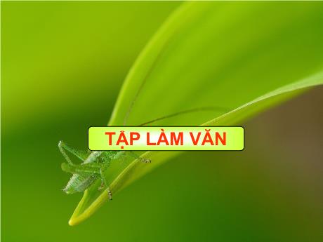 Bài giảng Tiếng Việt 4 - Bài (Tập làm văn): Luyện tập giới thiệu địa phương - Phạm Thị Hương Giang