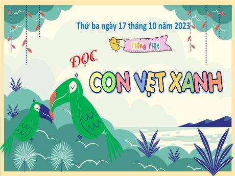 Bài giảng Tiếng Việt 4 (Kết nối tri thức) - Bài (Đọc): Con vẹt xanh - Năm học 2023-2024 - Phan Đinh Khôi