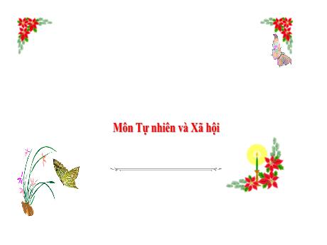 Bài giảng Tự nhiên và xã hội 3 (Kết nối tri thức) - Bài 10: Hoạt động sản xuất thủ công và công nghiệp (Tiết 1) - Năm học 2022-2023 - Trần Thị Nga