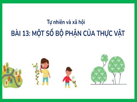 Bài giảng Tự nhiên và xã hội 3 (Kết nối tri thức) - Bài 13: Một số bộ phận của thực vật - Năm học 2024-2025 - Trần Thị Nga