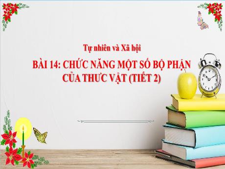 Bài giảng Tự nhiên và xã hội 3 (Kết nối tri thức) - Bài 14: Chức năng một số bộ phận của thực vật (Tiết 2) - Năm học 2024-2025 - Trần Thị Nga