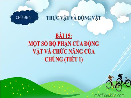 Bài giảng Tự nhiên và xã hội 3 (Kết nối tri thức) - Bài 15: Một số bộ phận của động vật và chức năng của chúng (Tiết 1) - Năm học 2024-2025 - Trần Thị Nga