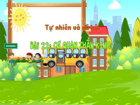 Bài giảng Tự nhiên và xã hội 3 (Kết nối tri thức) - Bài 22: Cơ quan thần kinh (Tiết 1) - Năm học 2024-2025 - Trần Thị Nga