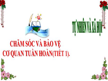 Bài giảng Tự nhiên và xã hội 3 (Kết nối tri thức) - Bài : Chăm sóc và bảo vệ cơ quan tuần hoàn (Tiết 1) - Năm học 2024-2025 - Trần Thị Nga