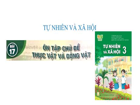 Bài giảng Tự nhiên và xã hội 3 (Kết nối tri thức) - Tuần 22 - Bài 17: Ôn tập chủ đề thực vật và động vật - Năm học 2024-2025 - Trần Thị Nga