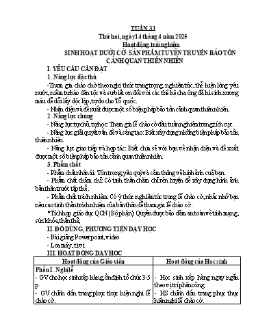 Kế hoạch bài dạy Tiếng Việt + Toán 5 - Tuần 31 - Năm học 2024-2025 - Phan Thị Hồng Thương